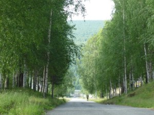 ВЧ 40274. Дорога на КПП части