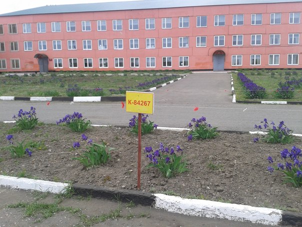 ВЧ55026. На территории воинской части